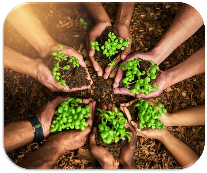 Plant Cell and Tissue Culture